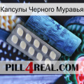 Капсулы Черного Муравья 34